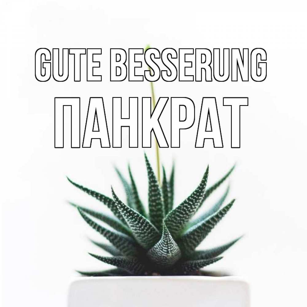 Открытка на каждый день с именем, Панкрат Gute Besserung короче это непонятная колючка Прикольная открытка с пожеланием онлайн скачать бесплатно 