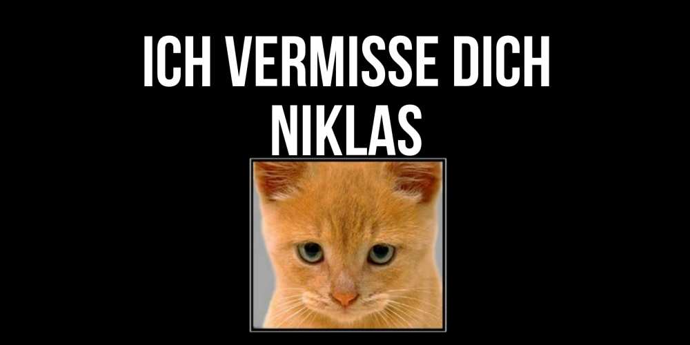 Открытка на каждый день с именем, Niklas Ich vermisse dich открытки рыжий котенок скучает по тебе Прикольная открытка с пожеланием онлайн скачать бесплатно 