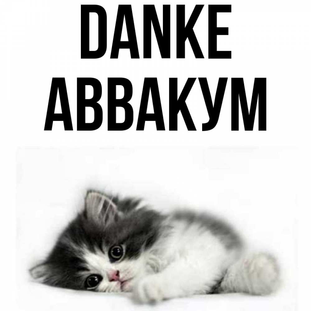 Открытка на каждый день с именем, Аввакум Danke черный и белый кот Прикольная открытка с пожеланием онлайн скачать бесплатно 