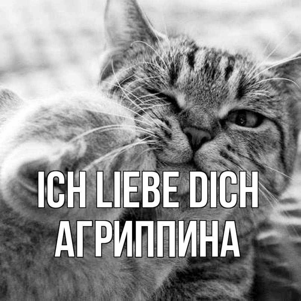 Открытка на каждый день с именем, Агриппина Ich liebe dich коты Прикольная открытка с пожеланием онлайн скачать бесплатно 