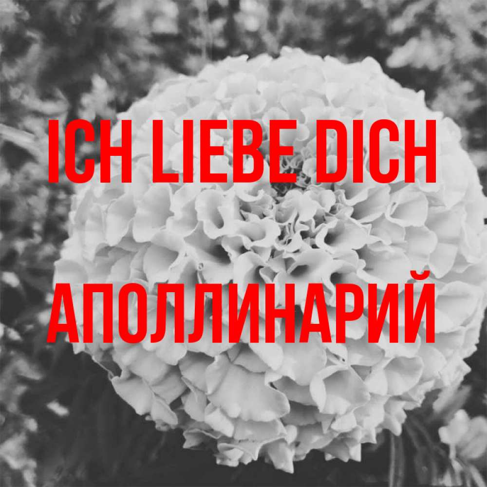 Открытка на каждый день с именем, Аполлинарий Ich liebe dich подпись Прикольная открытка с пожеланием онлайн скачать бесплатно 