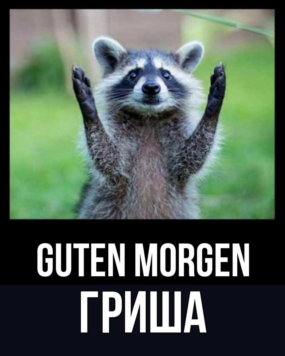 Открытка на каждый день с именем, Гриша Guten Morgen хорошее настроение утречком Прикольная открытка с пожеланием онлайн скачать бесплатно 