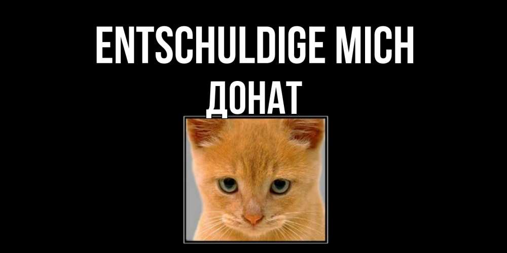 Открытка на каждый день с именем, Донат Entschuldige mich рыжий грустный кот просит прощения Прикольная открытка с пожеланием онлайн скачать бесплатно 