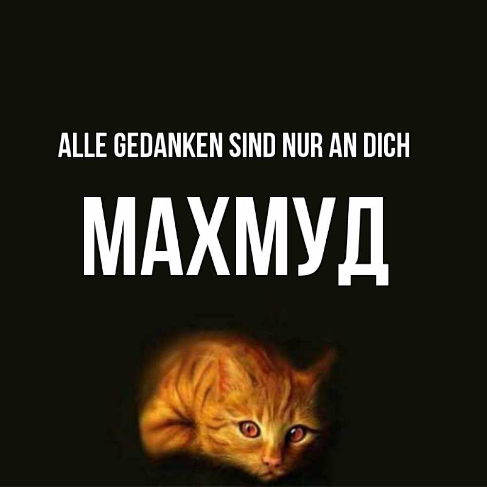 Открытка на каждый день с именем, Махмуд Alle Gedanken sind nur an dich рыжий Прикольная открытка с пожеланием онлайн скачать бесплатно 
