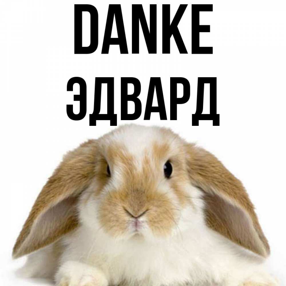 Открытка на каждый день с именем, Эдвард Danke коричнево белый заяц Прикольная открытка с пожеланием онлайн скачать бесплатно 