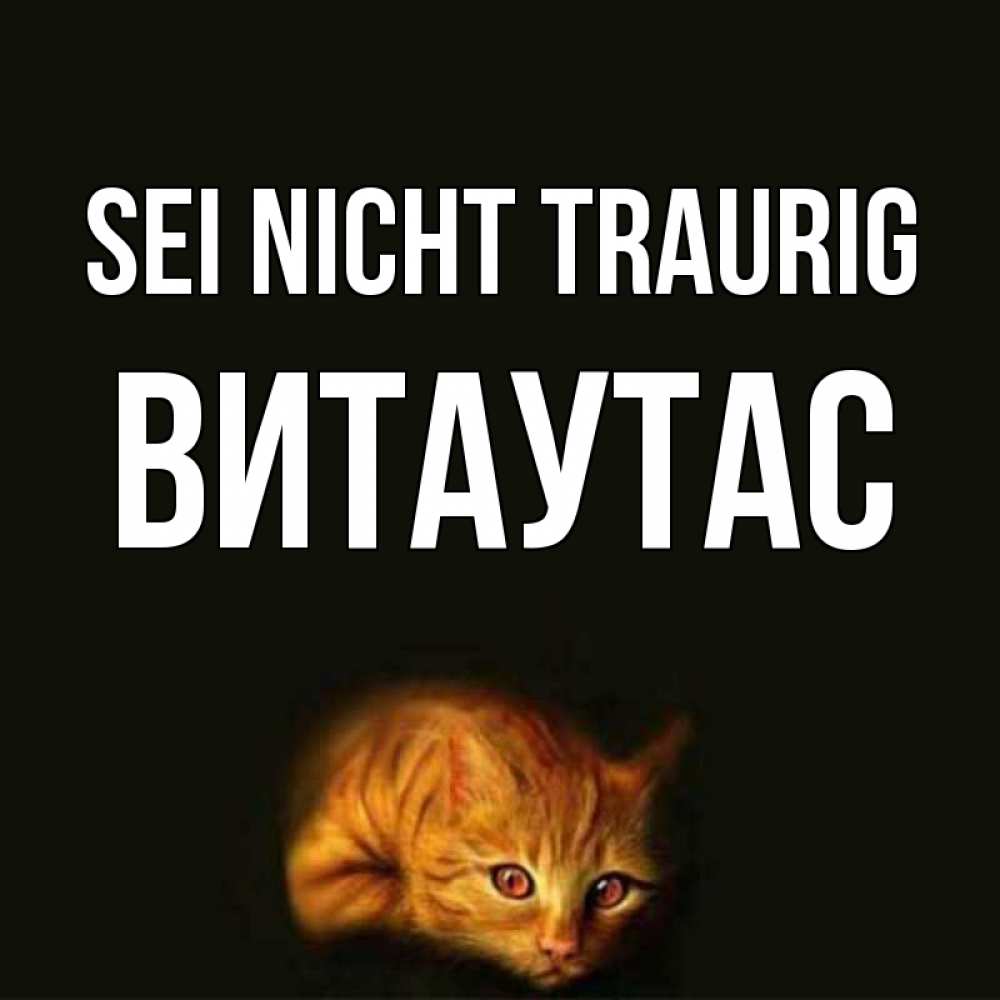 Открытка на каждый день с именем, Витаутас Sei nicht traurig лежащий кот в темноте Прикольная открытка с пожеланием онлайн скачать бесплатно 