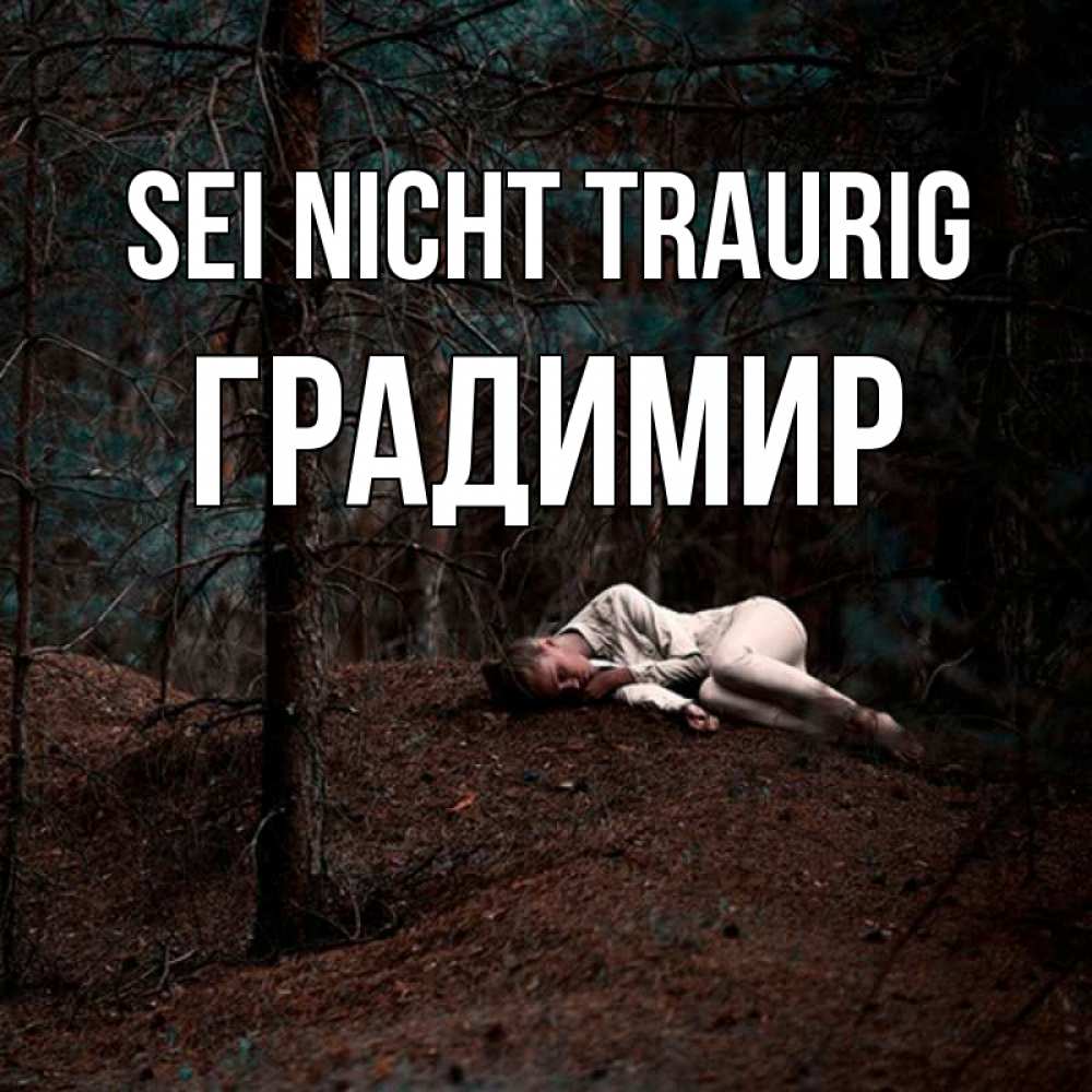 Открытка на каждый день с именем, Градимир Sei nicht traurig лес Прикольная открытка с пожеланием онлайн скачать бесплатно 