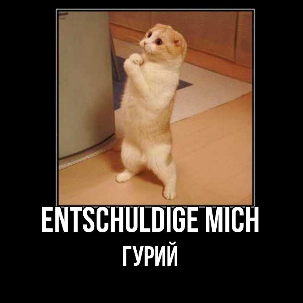 Открытка на каждый день с именем, Гурий Entschuldige mich открытка с милым несчастным котиком просящим прощения Прикольная открытка с пожеланием онлайн скачать бесплатно 