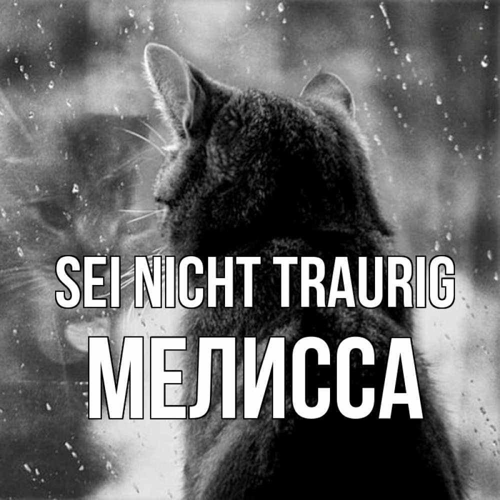 Открытка на каждый день с именем, Мелисса Sei nicht traurig отражение кота 1 Прикольная открытка с пожеланием онлайн скачать бесплатно 