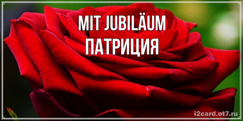 Открытка на каждый день с именем, Патриция Mit Jubiläum розочка очень красивая Прикольная открытка с пожеланием онлайн скачать бесплатно 