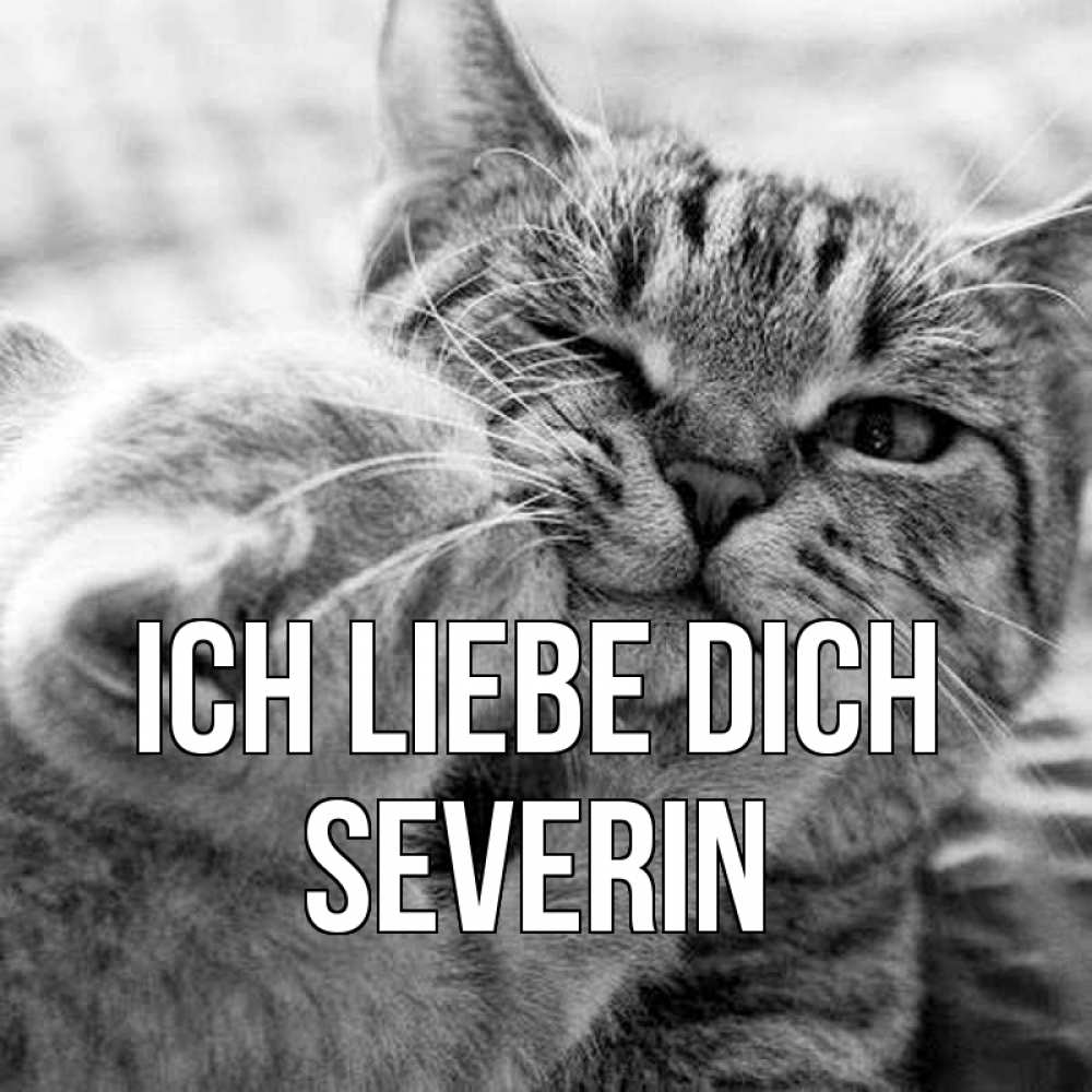 Открытка на каждый день с именем, Severin Ich liebe dich коты Прикольная открытка с пожеланием онлайн скачать бесплатно 