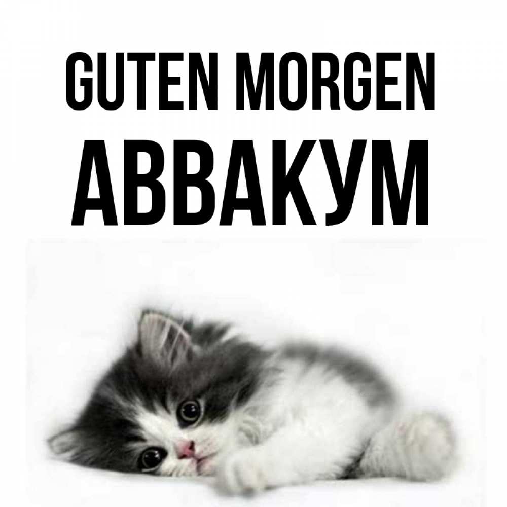 Открытка на каждый день с именем, Аввакум Guten Morgen кот лапки Прикольная открытка с пожеланием онлайн скачать бесплатно 