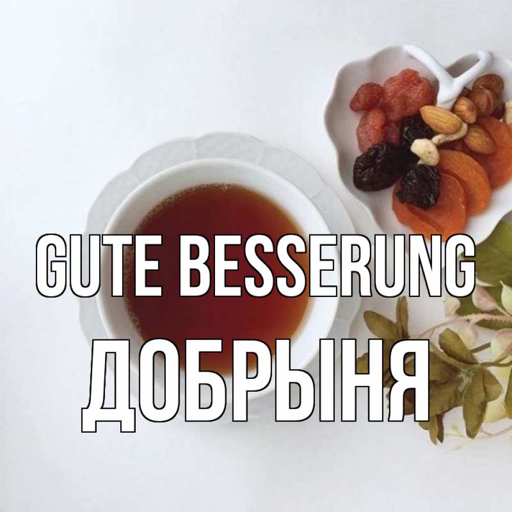 Открытка на каждый день с именем, Добрыня Gute Besserung неизвестные растения Прикольная открытка с пожеланием онлайн скачать бесплатно 