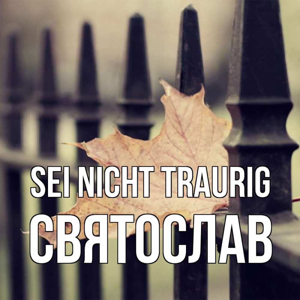 Открытка на каждый день с именем, Святослав Sei nicht traurig лист клена Прикольная открытка с пожеланием онлайн скачать бесплатно 