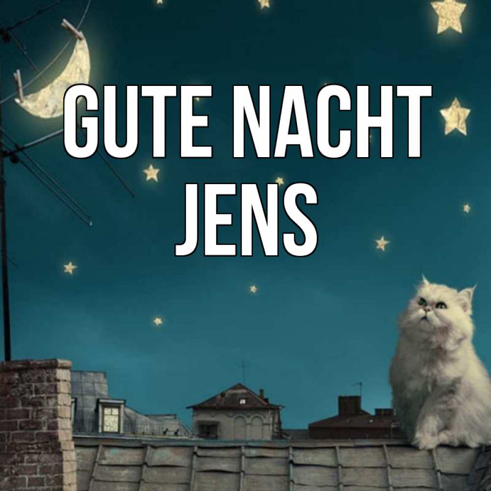 Открытка на каждый день с именем, Jens Gute Nacht белый кот сидит на крыше Прикольная открытка с пожеланием онлайн скачать бесплатно 