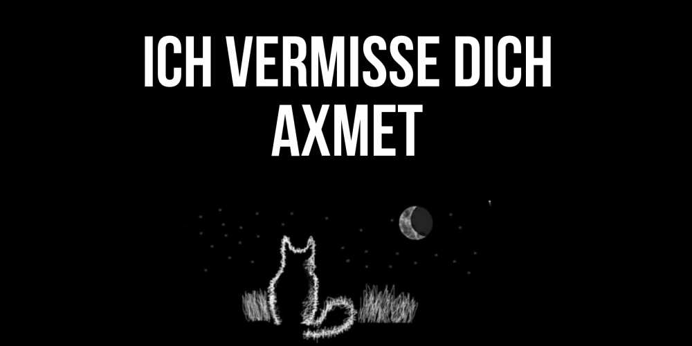 Открытка на каждый день с именем, Ахмет Ich vermisse dich кот Прикольная открытка с пожеланием онлайн скачать бесплатно 