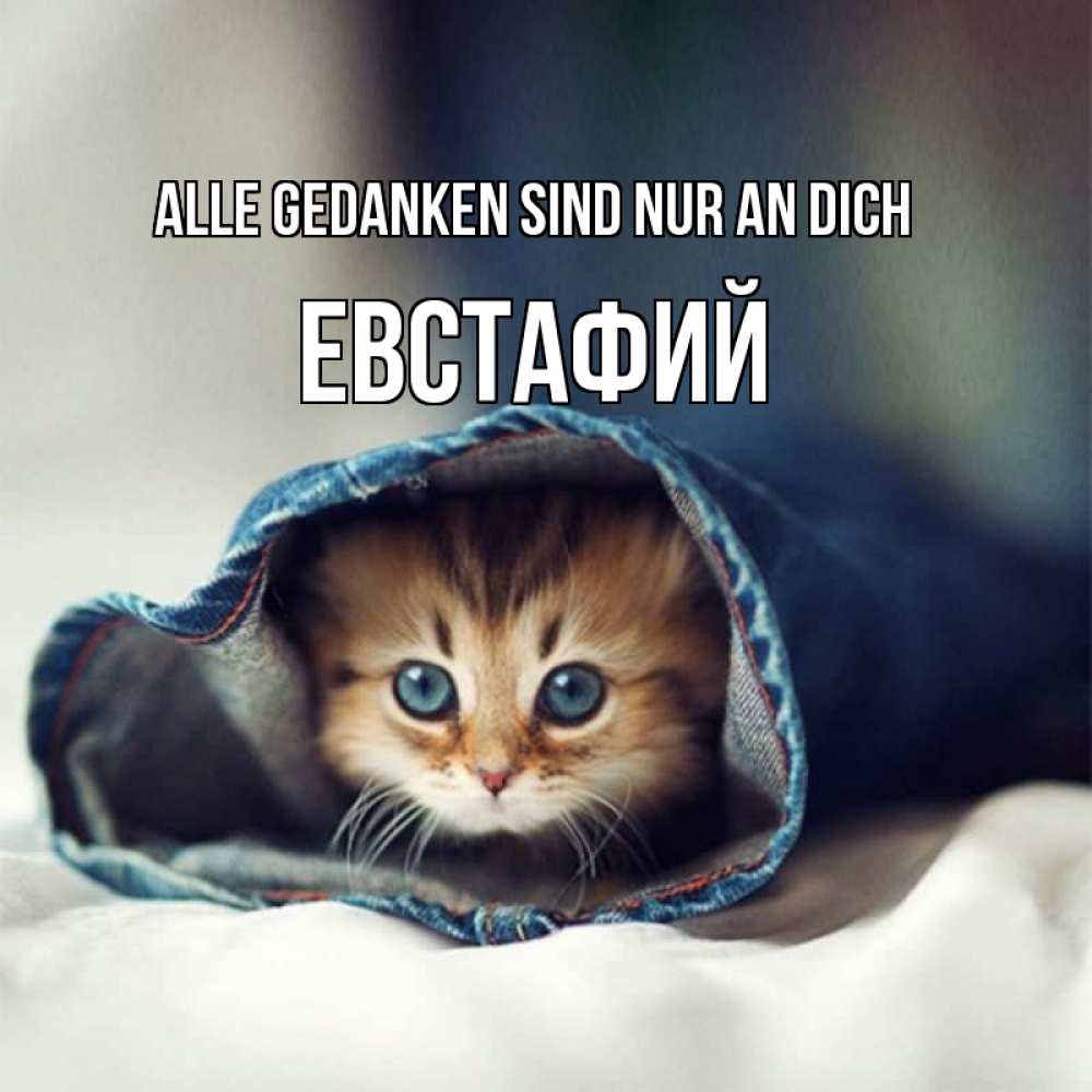 Открытка на каждый день с именем, Евстафий Alle Gedanken sind nur an dich мне без тебя плохо Прикольная открытка с пожеланием онлайн скачать бесплатно 