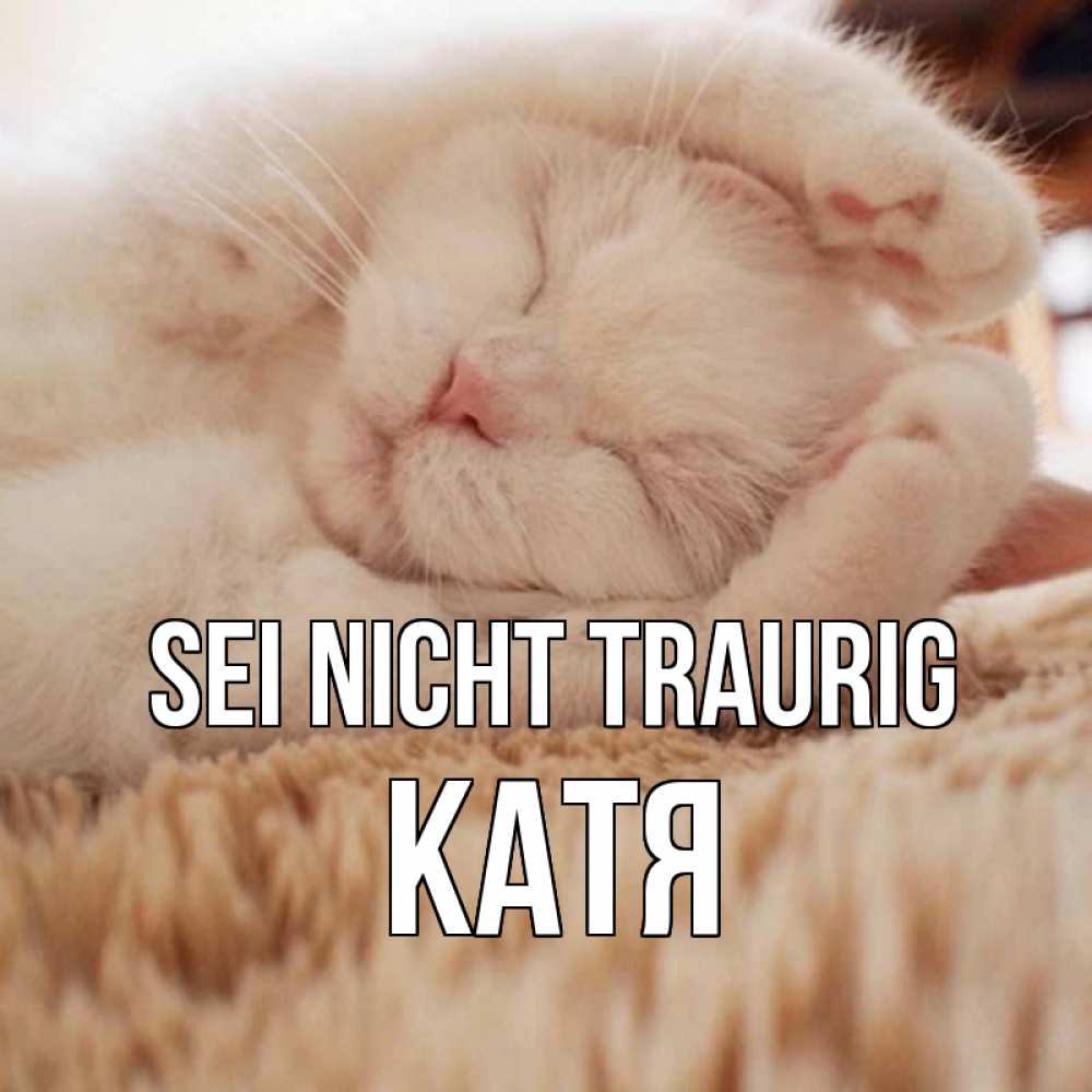 Открытка на каждый день с именем, Катя Sei nicht traurig белый кот Прикольная открытка с пожеланием онлайн скачать бесплатно 