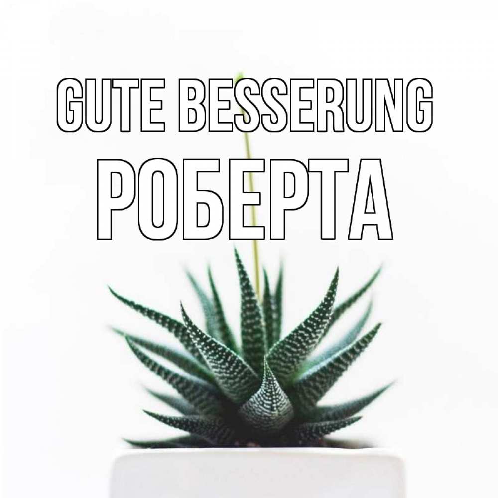 Открытка на каждый день с именем, Роберта Gute Besserung короче это непонятная колючка Прикольная открытка с пожеланием онлайн скачать бесплатно 