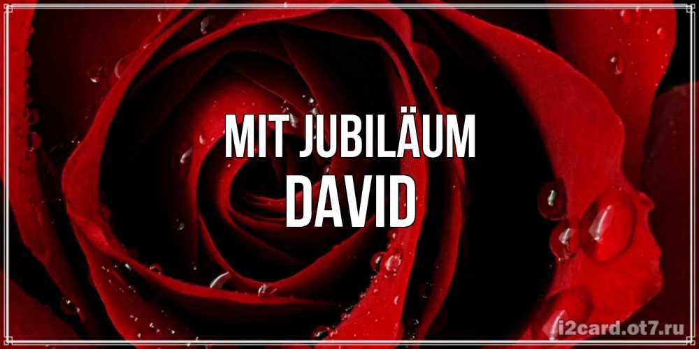Открытка на каждый день с именем, David Mit Jubiläum крупная бордовая роза Прикольная открытка с пожеланием онлайн скачать бесплатно 