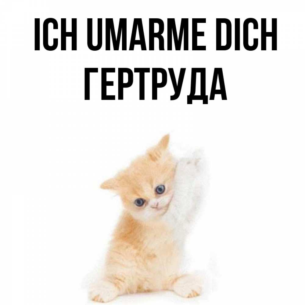 Открытка на каждый день с именем, Гертруда Ich umarme dich я хочу очень скорее обнимаешек Прикольная открытка с пожеланием онлайн скачать бесплатно 
