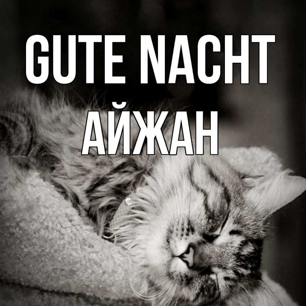 Открытка на каждый день с именем, Айжан Gute Nacht котярик пушистый Прикольная открытка с пожеланием онлайн скачать бесплатно 