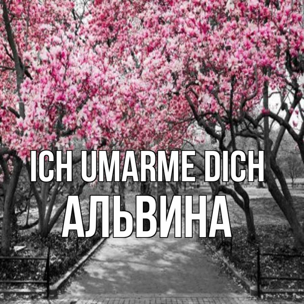 Открытка на каждый день с именем, Альвина Ich umarme dich обработанное фото Прикольная открытка с пожеланием онлайн скачать бесплатно 