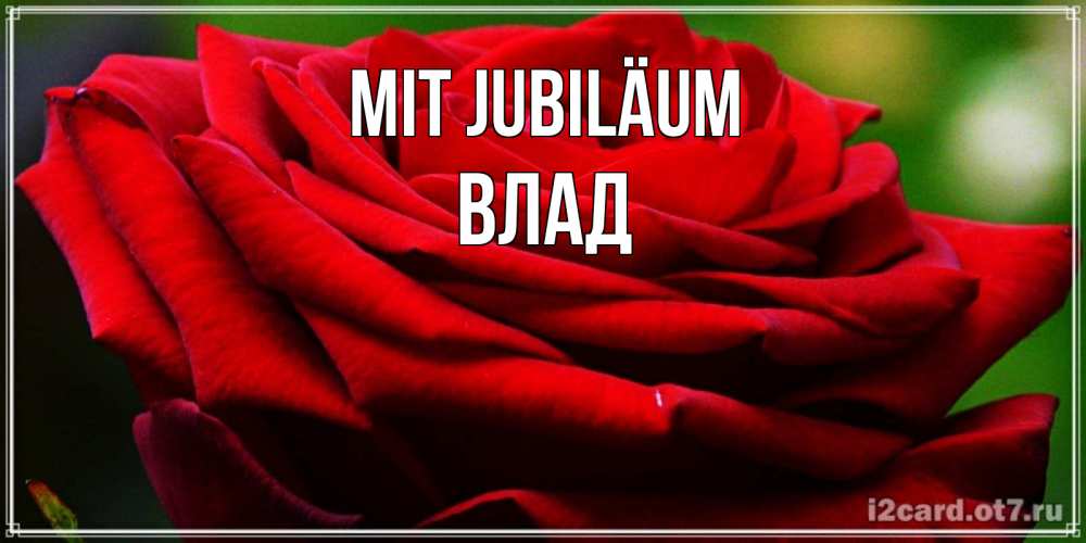 Открытка на каждый день с именем, Влад Mit Jubiläum розочка очень красивая Прикольная открытка с пожеланием онлайн скачать бесплатно 