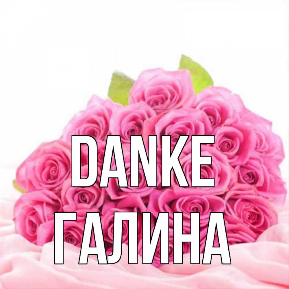 Открытка на каждый день с именем, Галина Danke розовые розы с подписью Прикольная открытка с пожеланием онлайн скачать бесплатно 