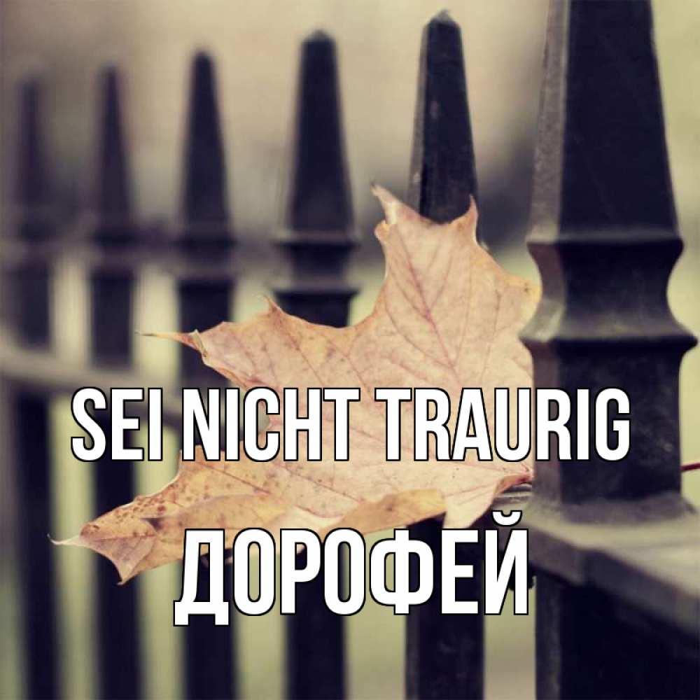 Открытка на каждый день с именем, Дорофей Sei nicht traurig лист клена Прикольная открытка с пожеланием онлайн скачать бесплатно 