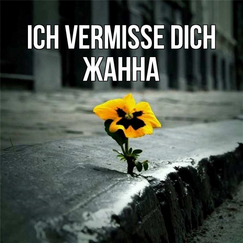 Открытка на каждый день с именем, Жанна Ich vermisse dich надеюсь будет лучше Прикольная открытка с пожеланием онлайн скачать бесплатно 