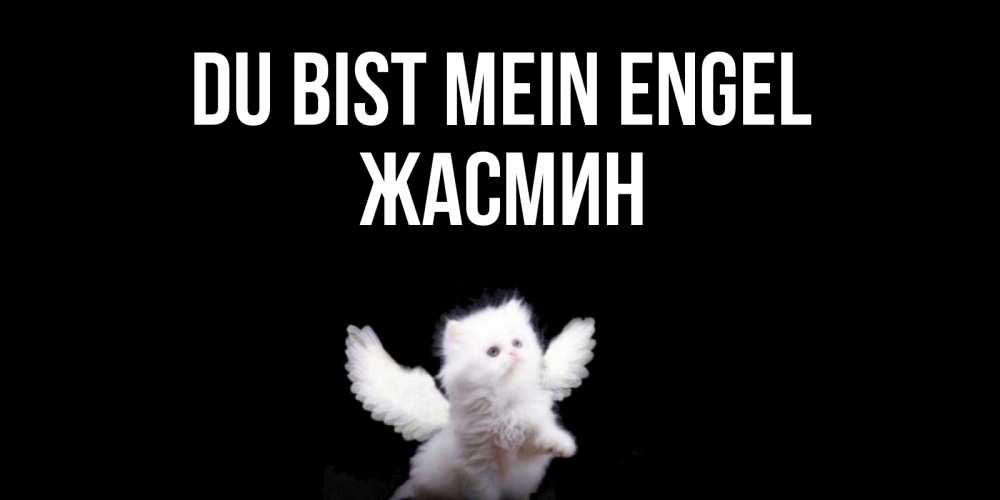 Открытка на каждый день с именем, Жасмин Du bist mein Engel Кот ангел Прикольная открытка с пожеланием онлайн скачать бесплатно 