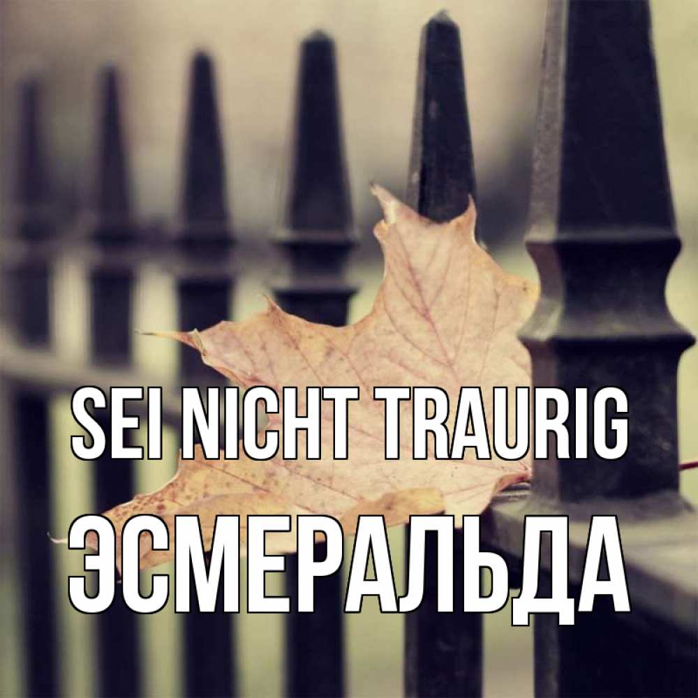 Открытка на каждый день с именем, Эсмеральда Sei nicht traurig лист клена Прикольная открытка с пожеланием онлайн скачать бесплатно 