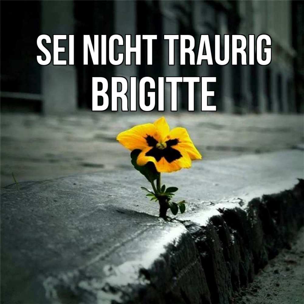 Открытка на каждый день с именем, Brigitte Sei nicht traurig не сдавайся Прикольная открытка с пожеланием онлайн скачать бесплатно 