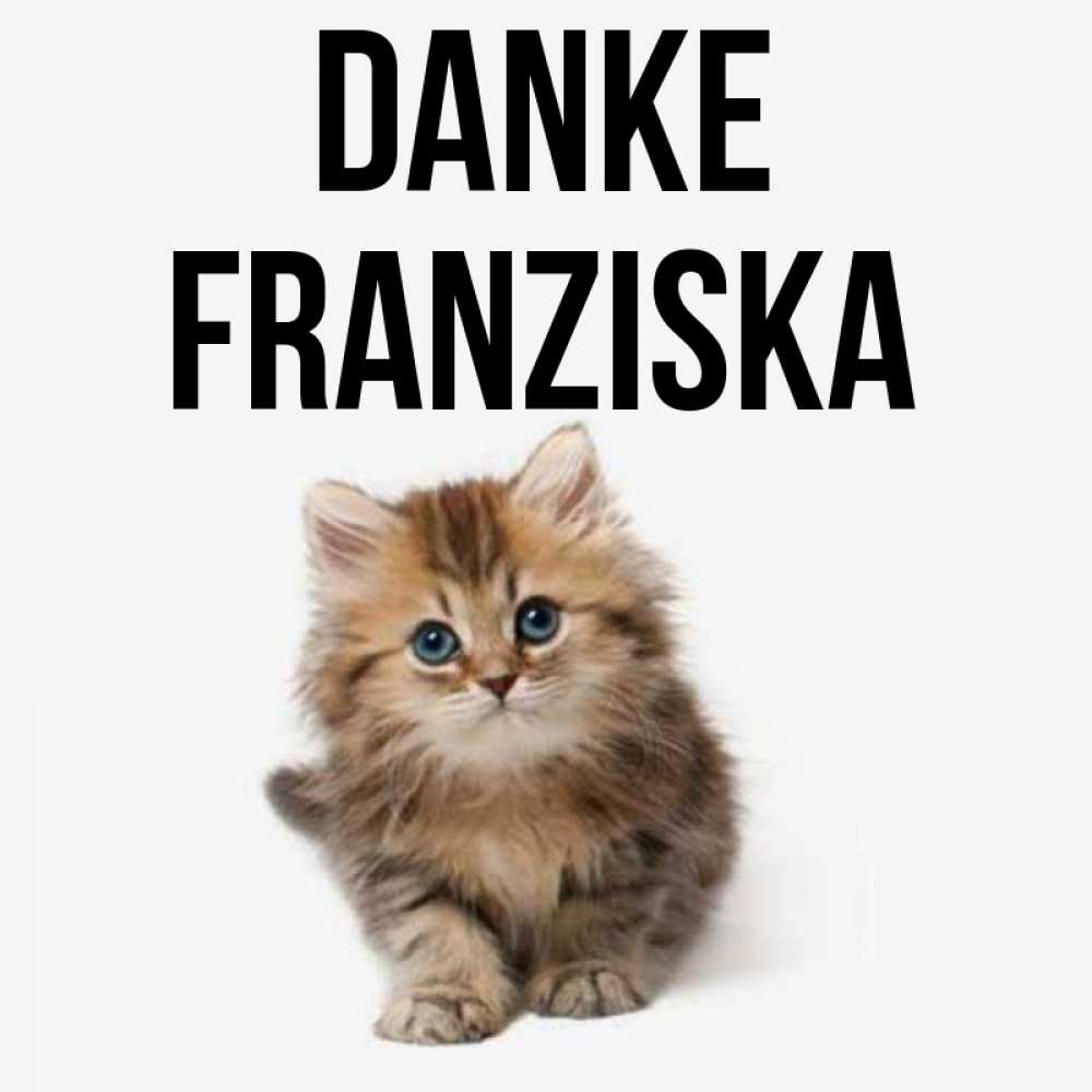 Открытка на каждый день с именем, Franziska Danke пушистый котик Прикольная открытка с пожеланием онлайн скачать бесплатно 