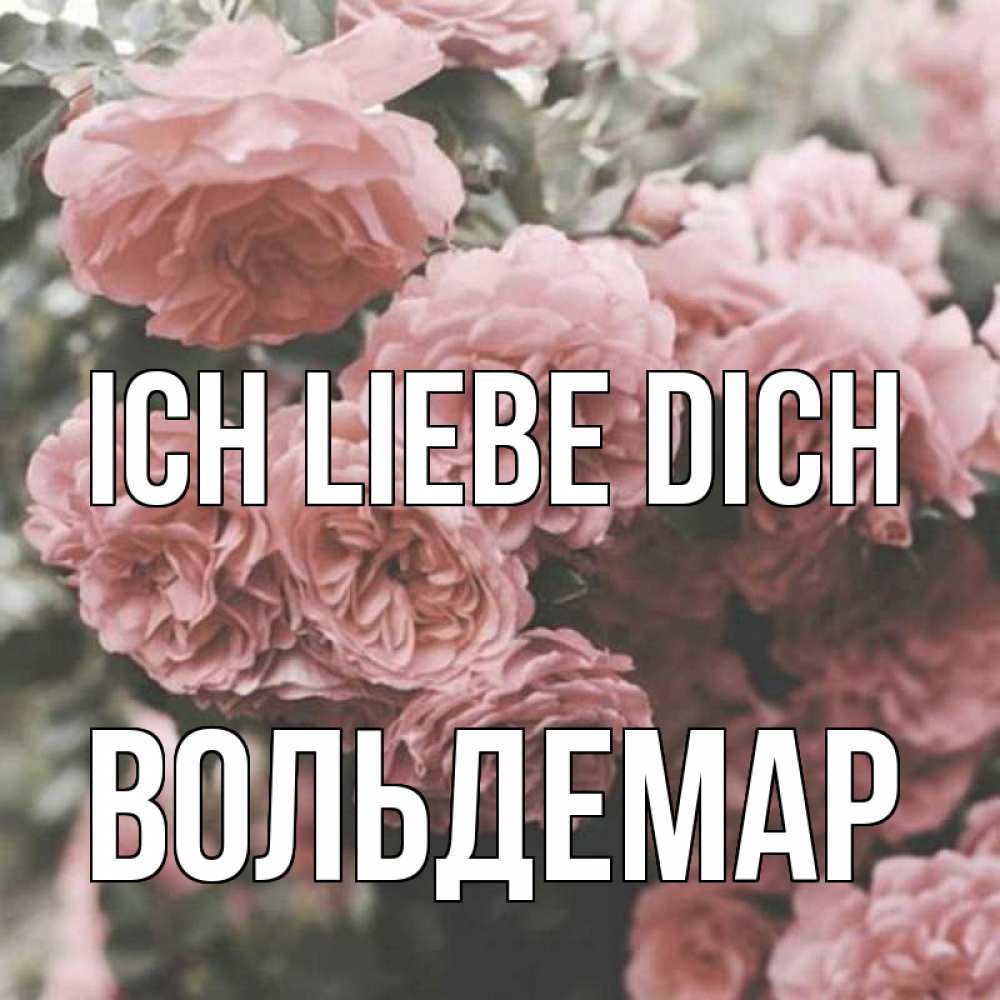 Открытка на каждый день с именем, Вольдемар Ich liebe dich розы 3 Прикольная открытка с пожеланием онлайн скачать бесплатно 