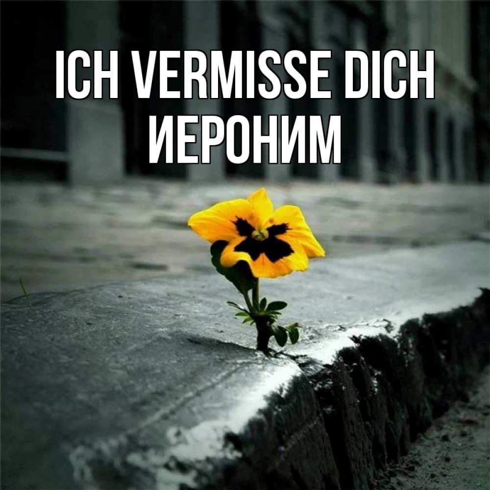 Открытка на каждый день с именем, Иероним Ich vermisse dich надеюсь будет лучше Прикольная открытка с пожеланием онлайн скачать бесплатно 