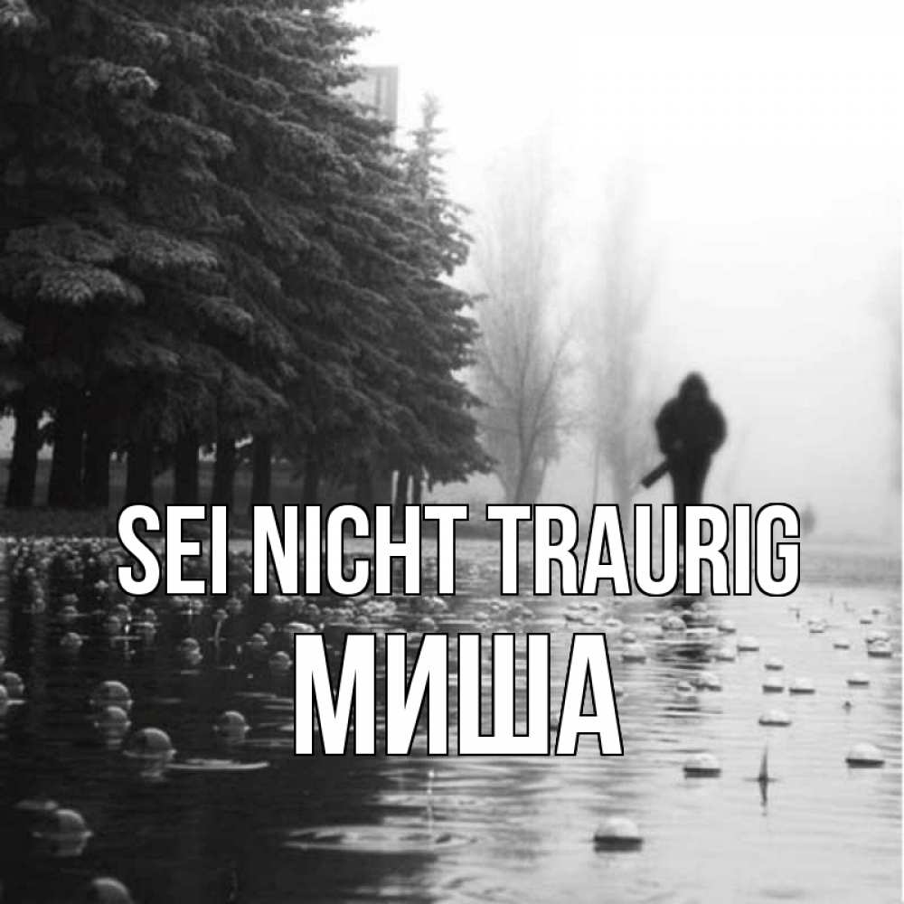 Открытка на каждый день с именем, Миша Sei nicht traurig улица под дождем Прикольная открытка с пожеланием онлайн скачать бесплатно 