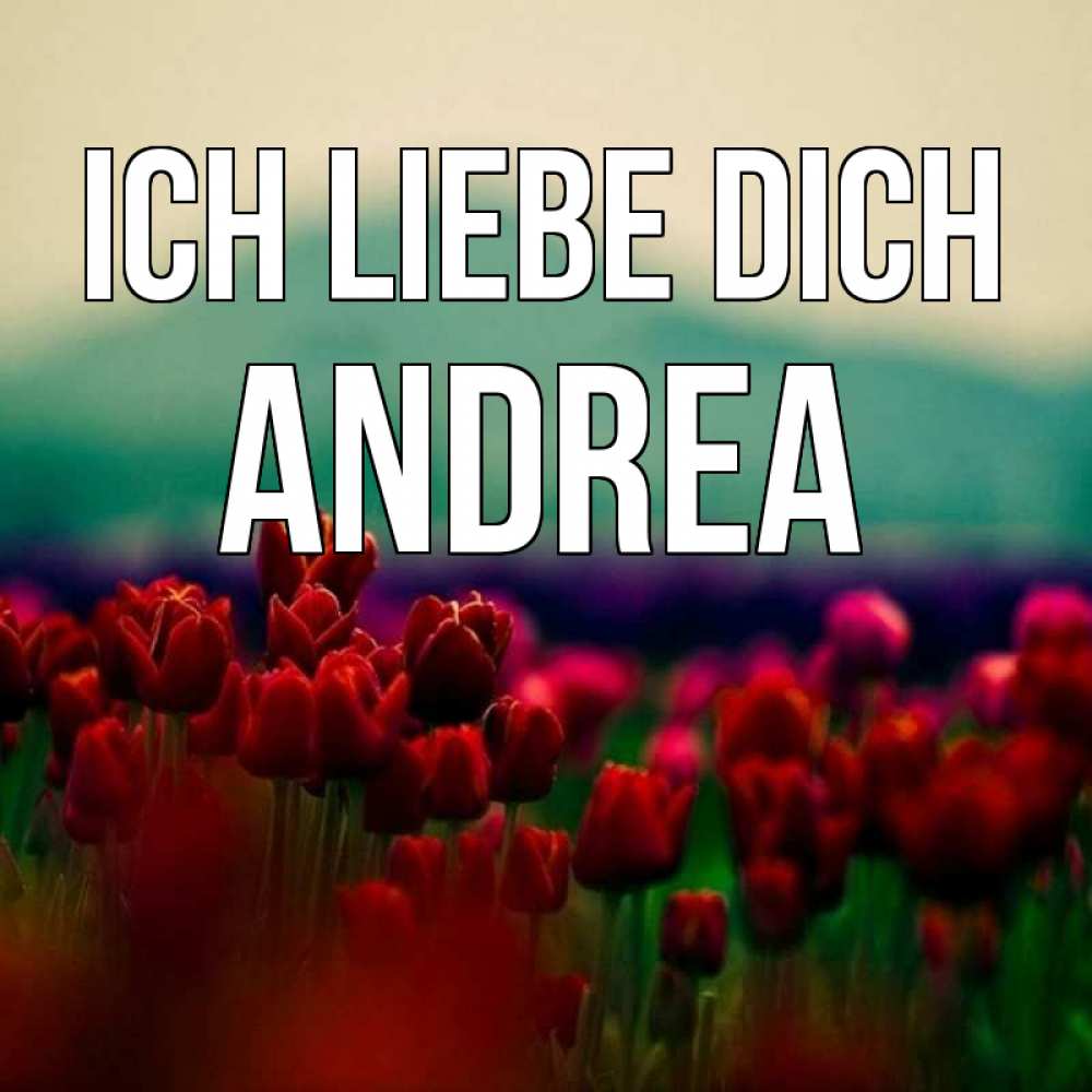 Открытка на каждый день с именем, Andrea Ich liebe dich тюльпаны 4 Прикольная открытка с пожеланием онлайн скачать бесплатно 