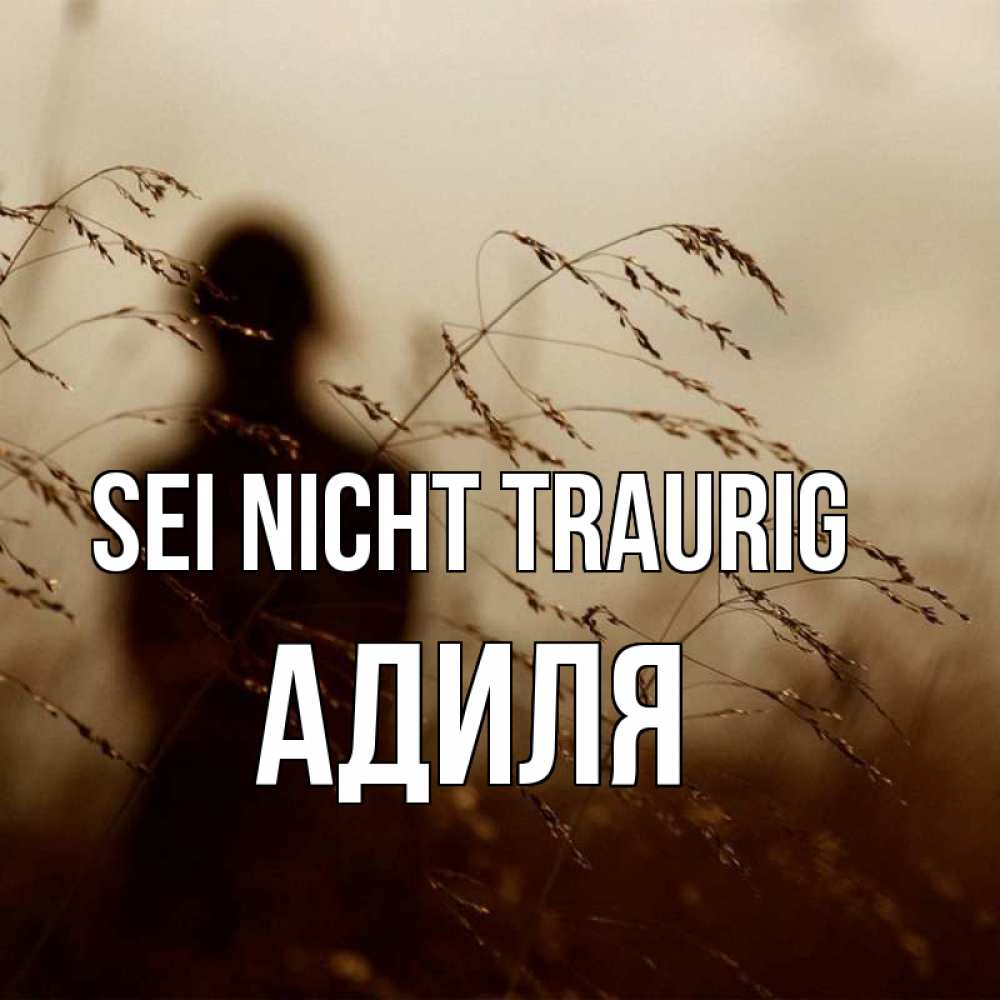 Открытка на каждый день с именем, Адиля Sei nicht traurig грусть Прикольная открытка с пожеланием онлайн скачать бесплатно 