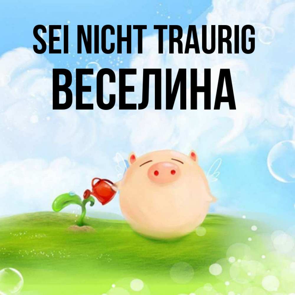 Открытка на каждый день с именем, Веселина Sei nicht traurig поливает цветок порося Прикольная открытка с пожеланием онлайн скачать бесплатно 