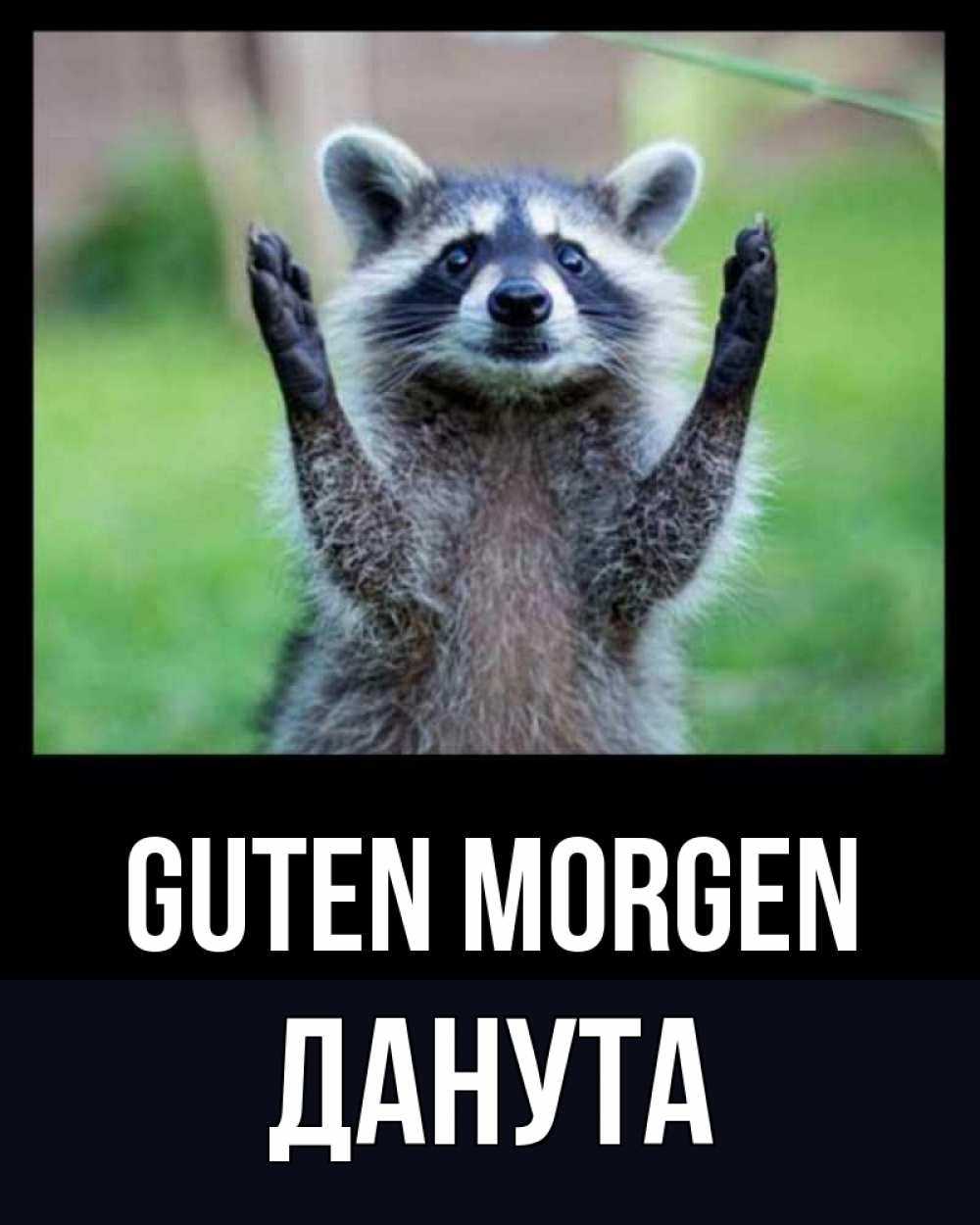 Открытка на каждый день с именем, Данута Guten Morgen хорошее настроение утречком Прикольная открытка с пожеланием онлайн скачать бесплатно 