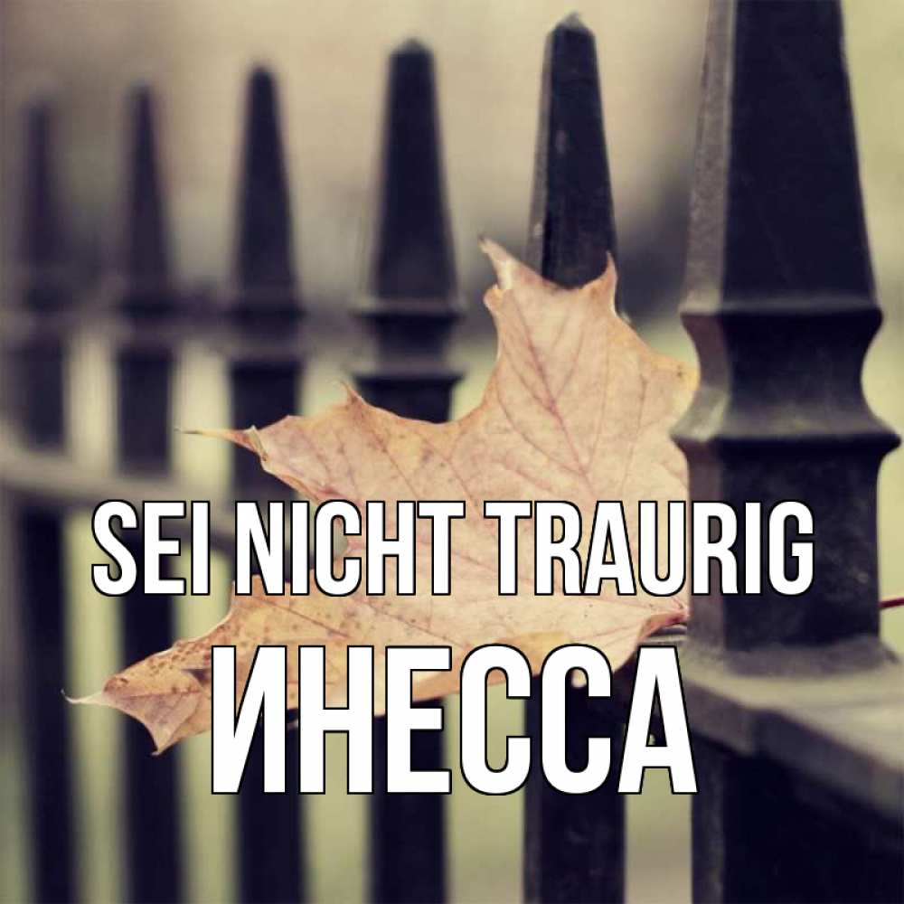 Открытка на каждый день с именем, Инесса Sei nicht traurig лист клена Прикольная открытка с пожеланием онлайн скачать бесплатно 