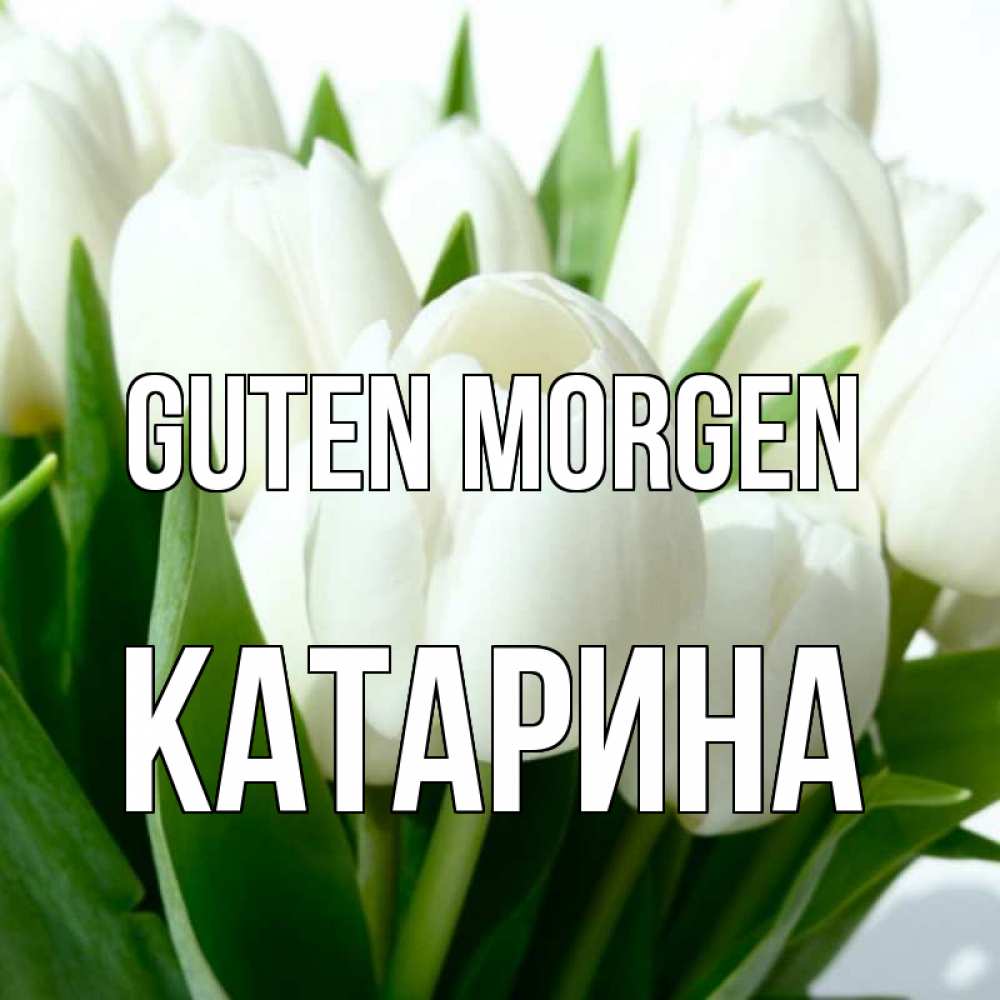 Открытка на каждый день с именем, Катарина Guten Morgen открытки на каждый день по именам Прикольная открытка с пожеланием онлайн скачать бесплатно 