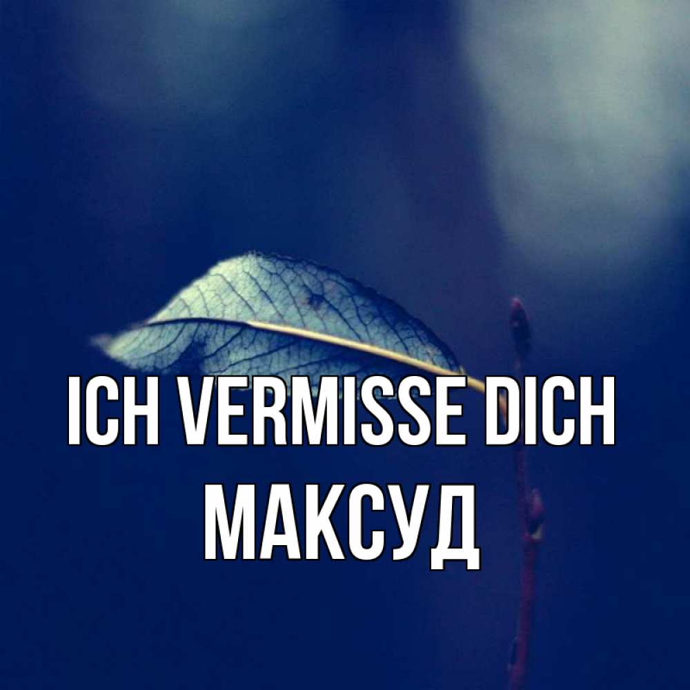 Открытка на каждый день с именем, Максуд Ich vermisse dich одна ветка 1 Прикольная открытка с пожеланием онлайн скачать бесплатно 