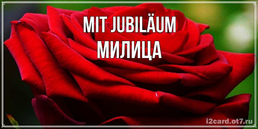 Открытка на каждый день с именем, Милица Mit Jubiläum розочка очень красивая Прикольная открытка с пожеланием онлайн скачать бесплатно 