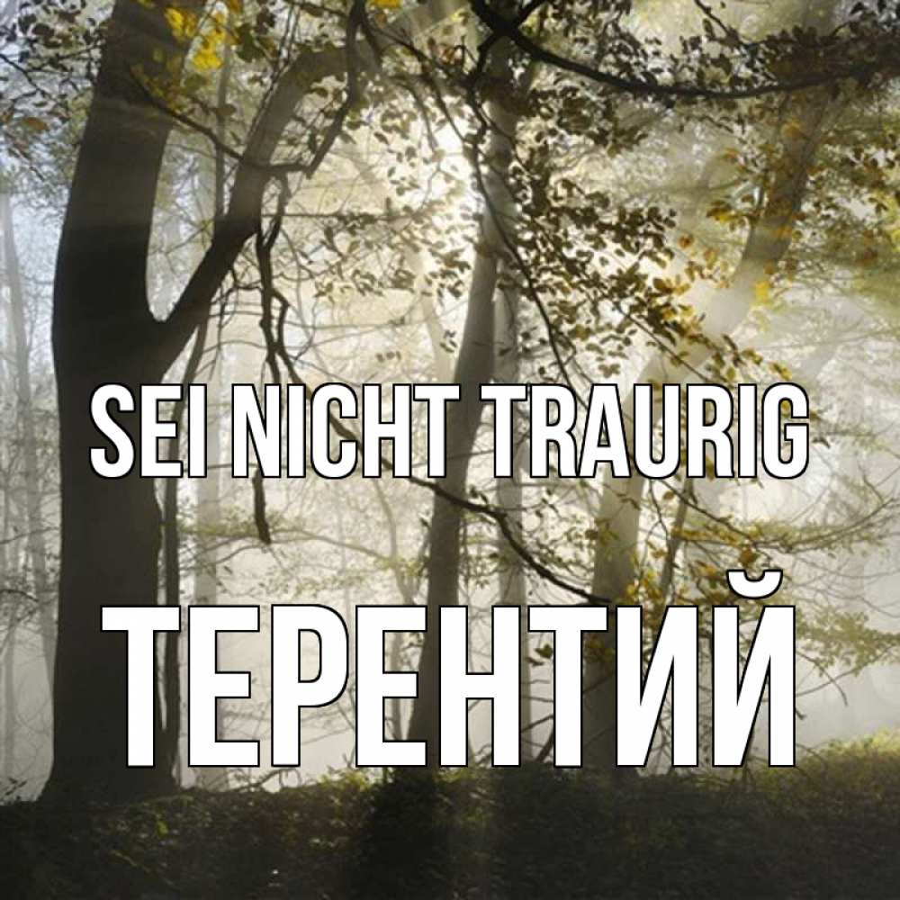 Открытка на каждый день с именем, Терентий Sei nicht traurig лес и свет Прикольная открытка с пожеланием онлайн скачать бесплатно 