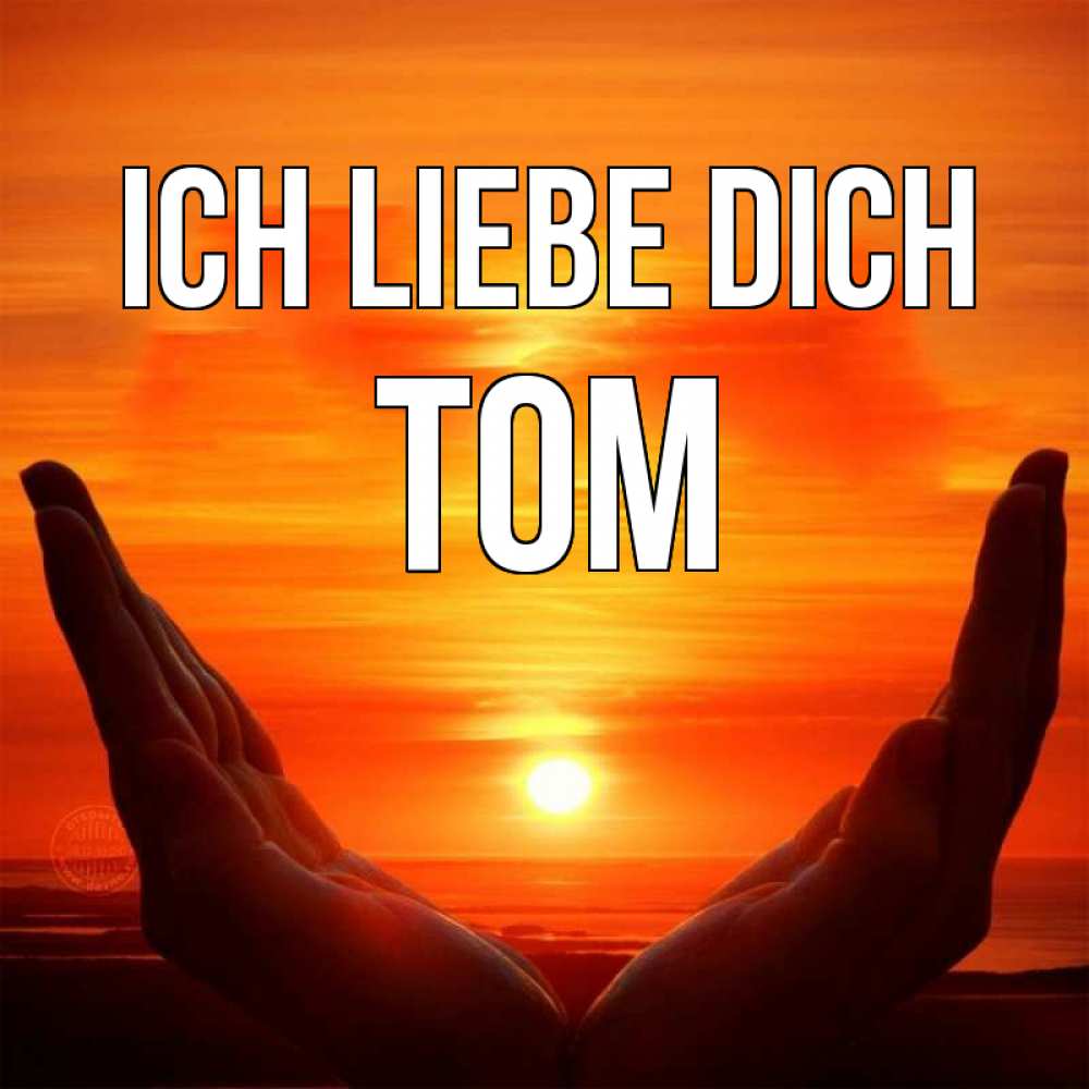 Открытка на каждый день с именем, Tom Ich liebe dich в руках Прикольная открытка с пожеланием онлайн скачать бесплатно 