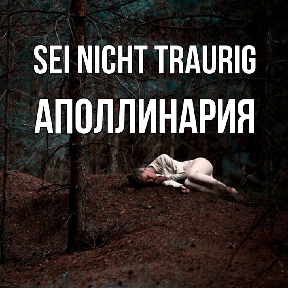 Открытка на каждый день с именем, Аполлинария Sei nicht traurig лес Прикольная открытка с пожеланием онлайн скачать бесплатно 