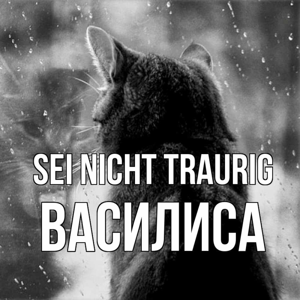 Открытка на каждый день с именем, Василиса Sei nicht traurig отражение кота 1 Прикольная открытка с пожеланием онлайн скачать бесплатно 
